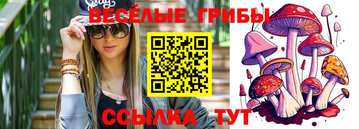 Галлюциногенные грибы Magic Shrooms  Вход с VPN  Железногорск 